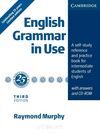 ENGLISH GRAMMAR IN USE WITH ANSERWS -VERSION INGLESA-